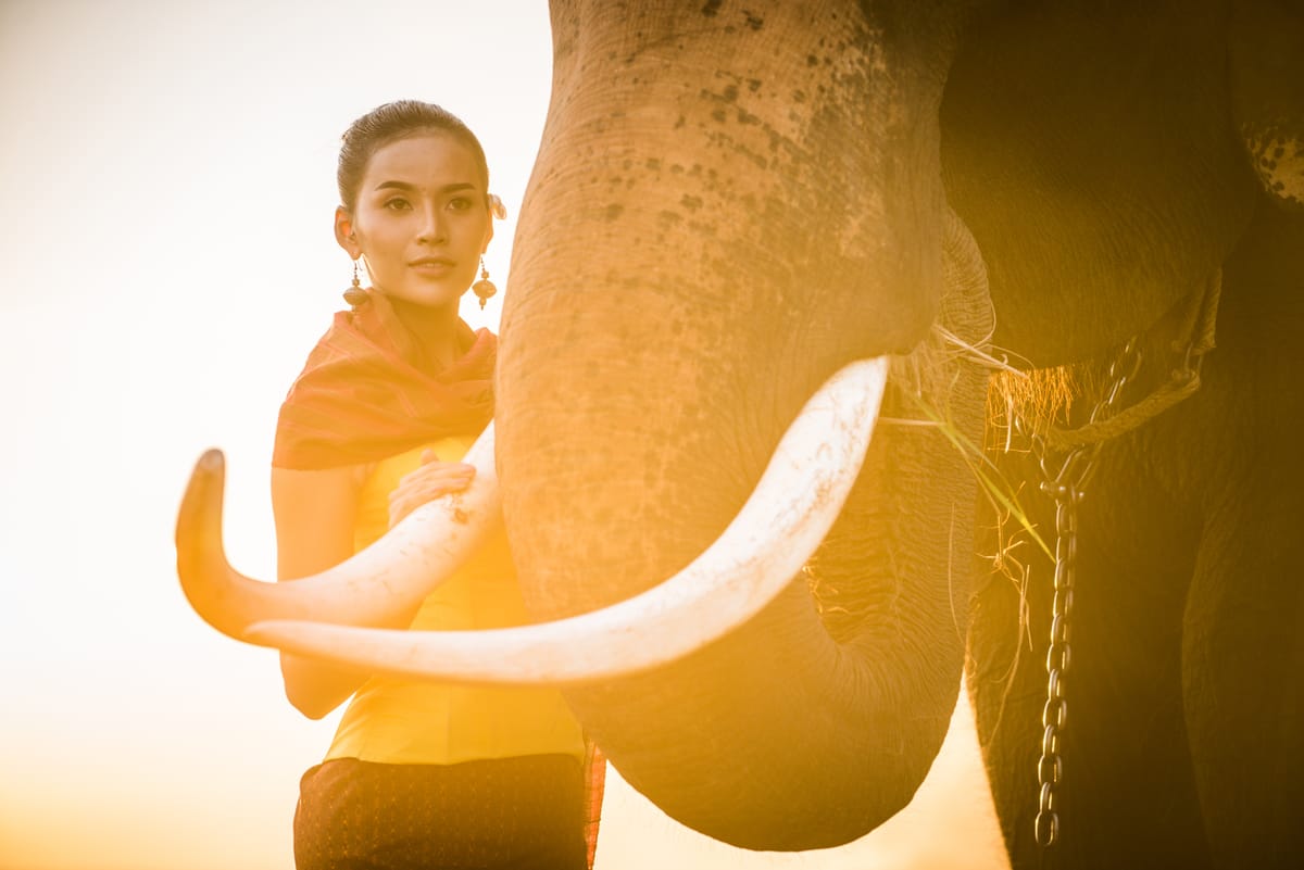 An Asian woman standing beside an elephant at sunset—partially hidden, protected, and calm—symbolizing quiet strength and the return of courage